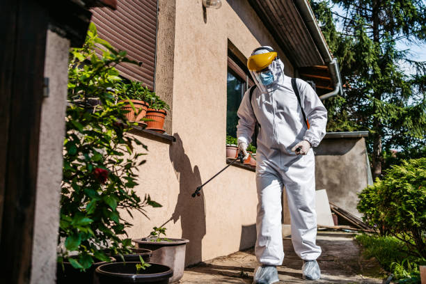 Best Wildlife Control Services  in Star Valley, AZ