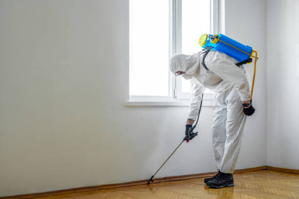 Best Emergency Pest Control  in Star Valley, AZ