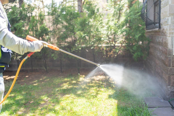 Best Best Pest Control Companies  in Star Valley, AZ